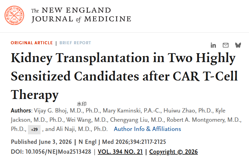 NEJM：双靶向CAR-T脱敏后，两例高度致敏患者成功肾移植