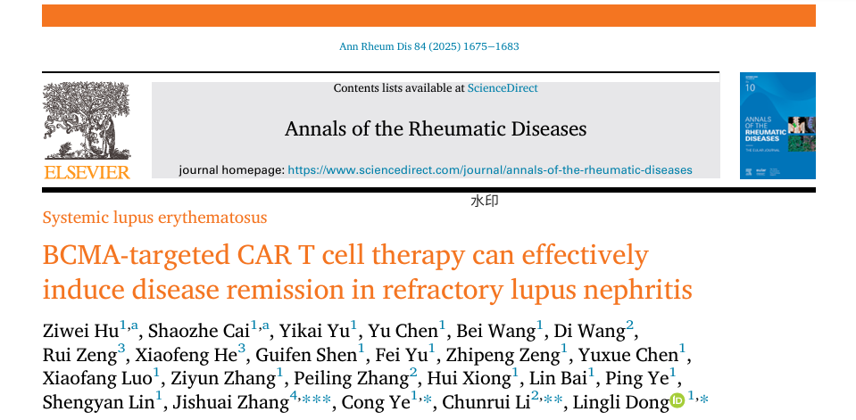 文献解读丨BCMA靶向CAR-T疗法实现无药物缓解，为难治性狼疮肾炎提供新选择